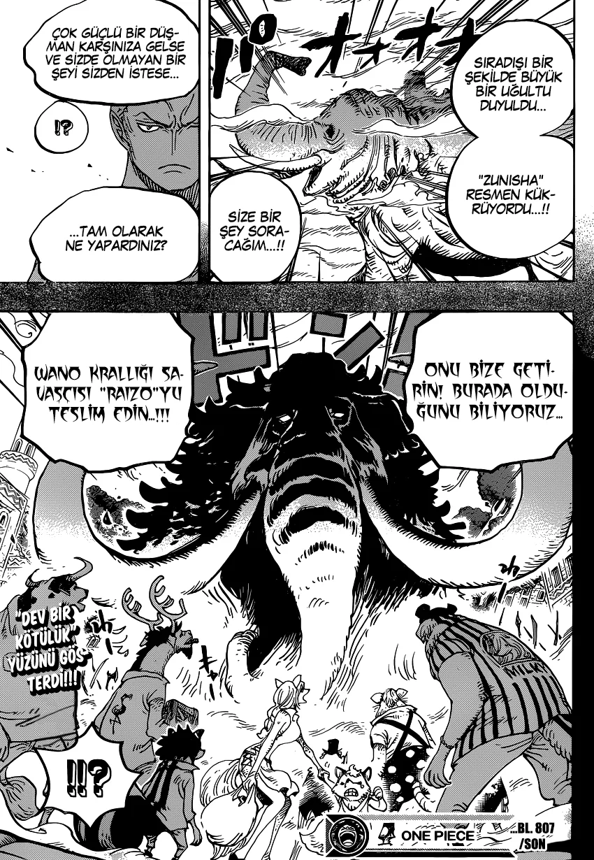 One Piece - Bölüm 807 - Sayfa 17