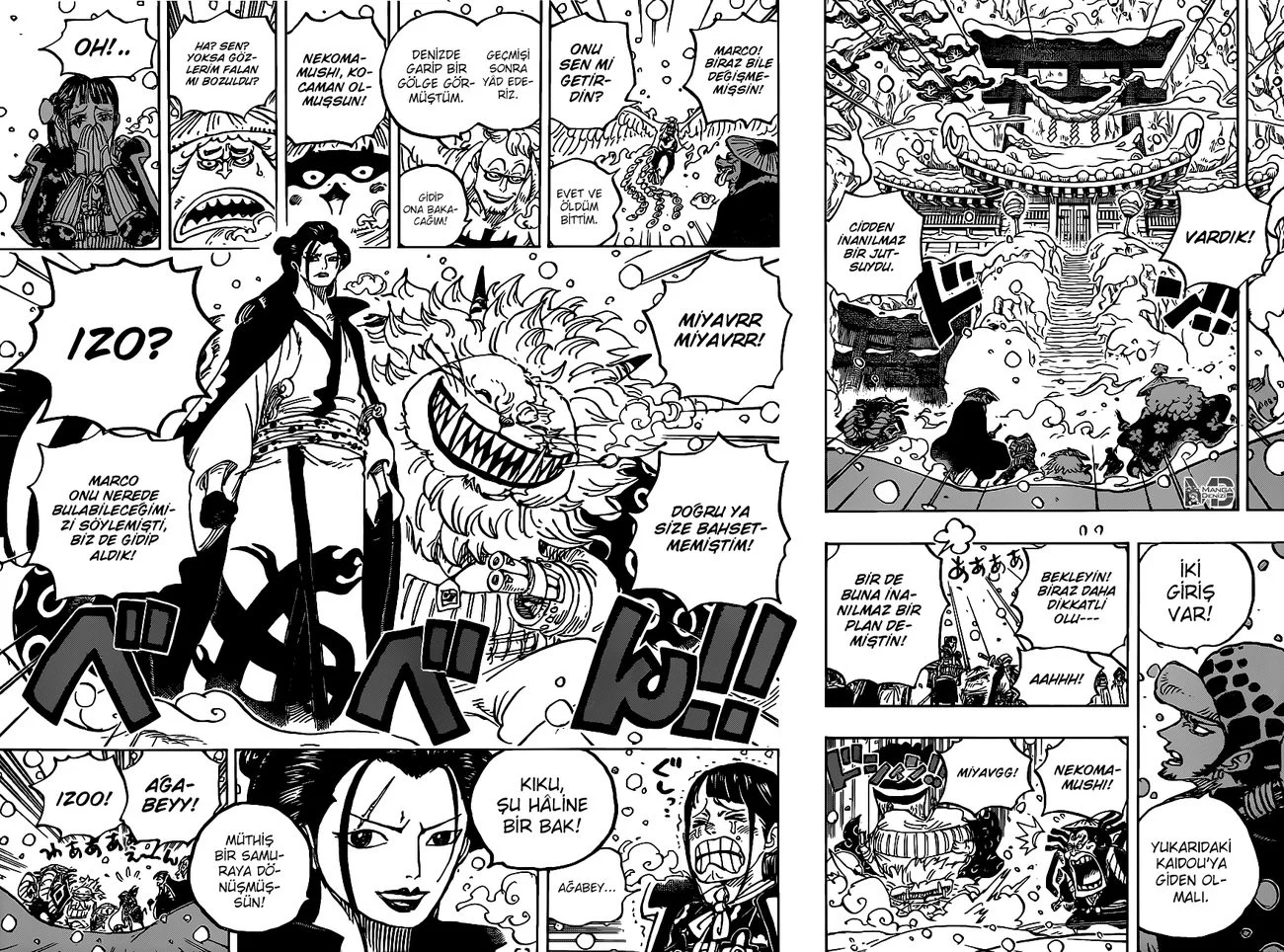 One Piece - Bölüm 984 - Sayfa 11