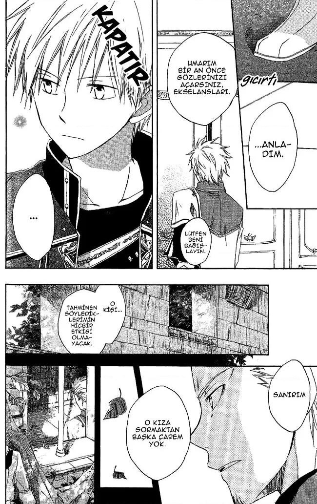 Akagami no Shirayukihime - Bölüm 3 - Sayfa 15