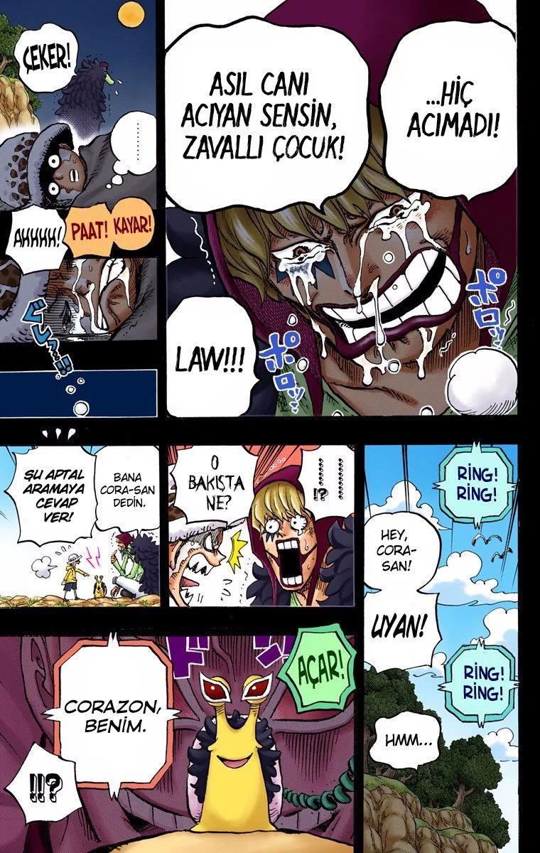 One Piece - Bölüm 764 - Sayfa 18