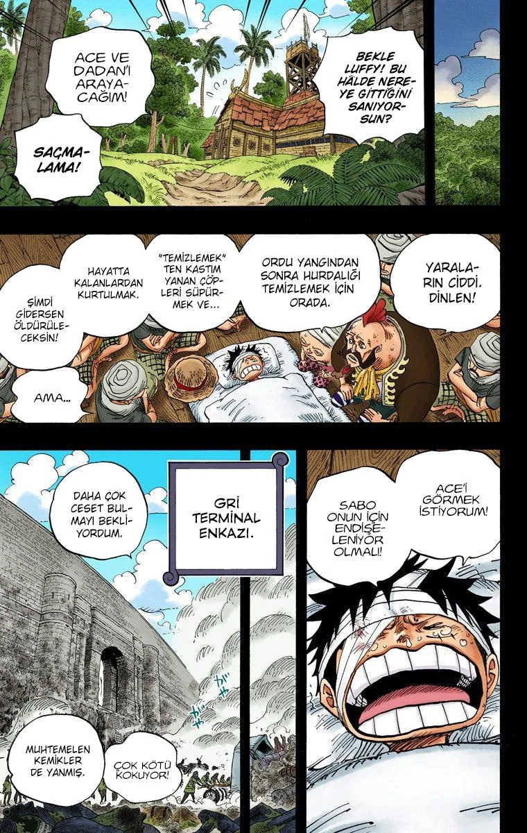 One Piece - Bölüm 587 - Sayfa 17