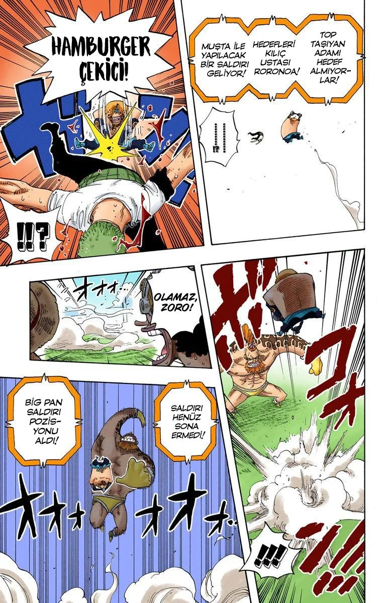 One Piece - Bölüm 311 - Sayfa 13
