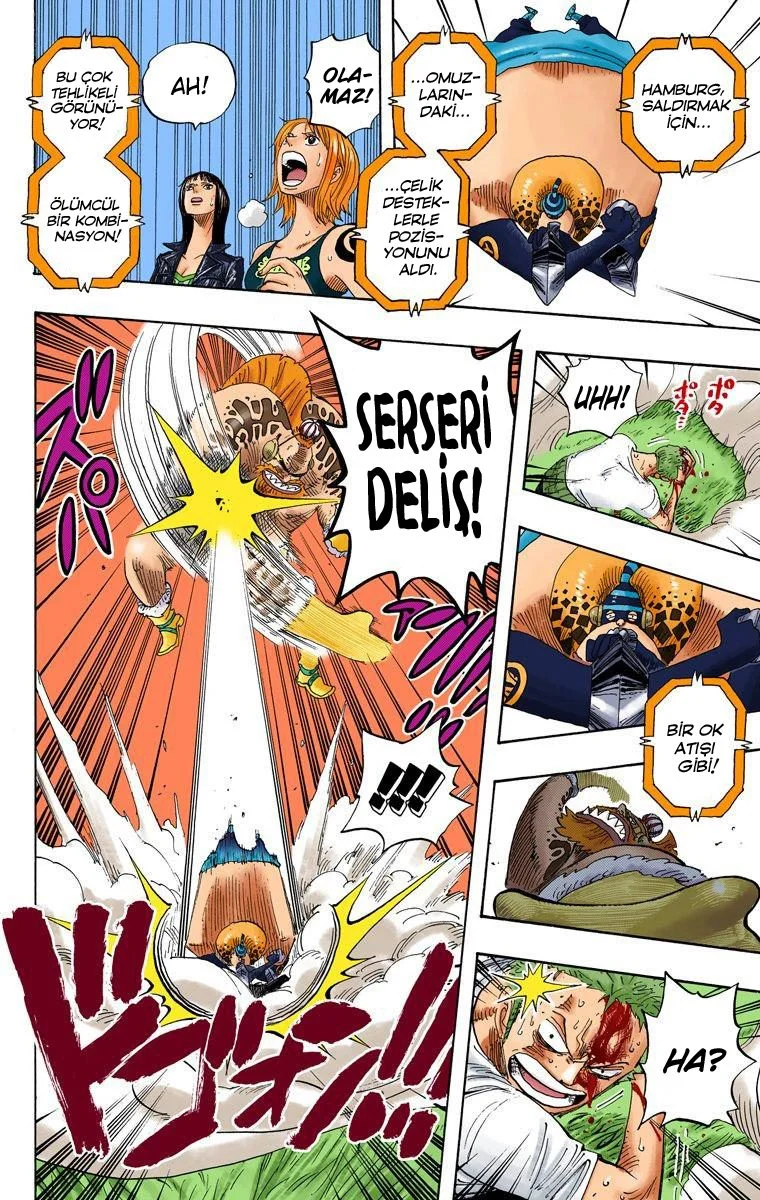 One Piece - Bölüm 311 - Sayfa 14