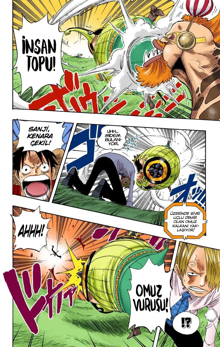 One Piece - Bölüm 311 - Sayfa 16