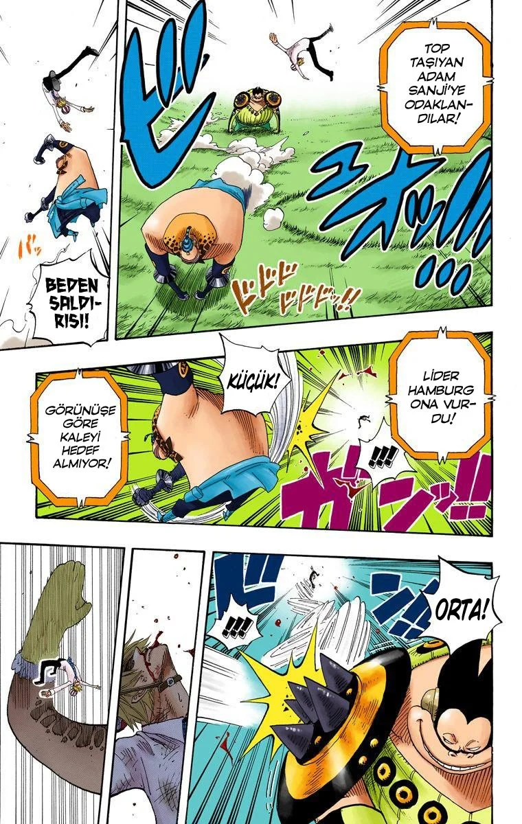 One Piece - Bölüm 311 - Sayfa 17