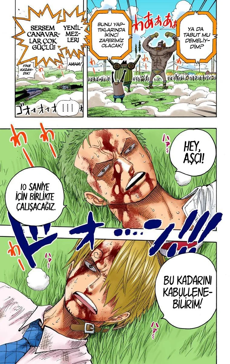 One Piece - Bölüm 311 - Sayfa 19