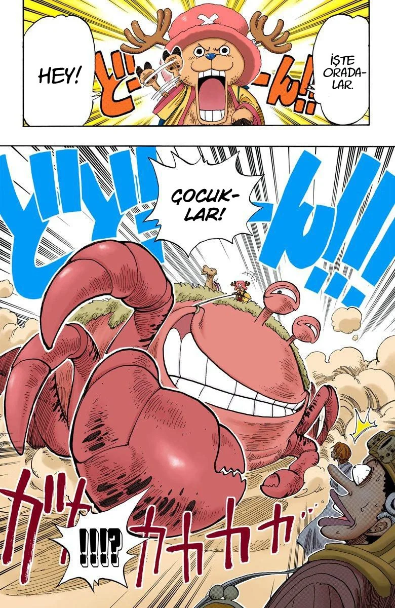 One Piece - Bölüm 176 - Sayfa 16