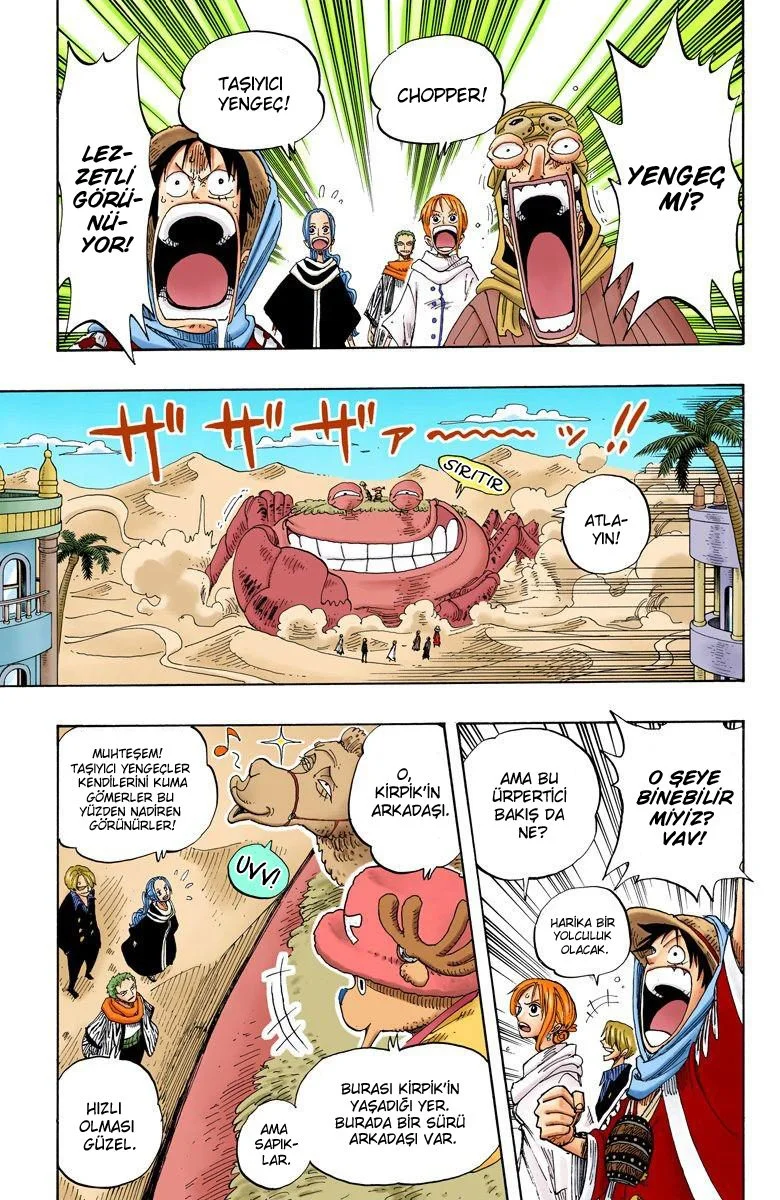 One Piece - Bölüm 176 - Sayfa 17