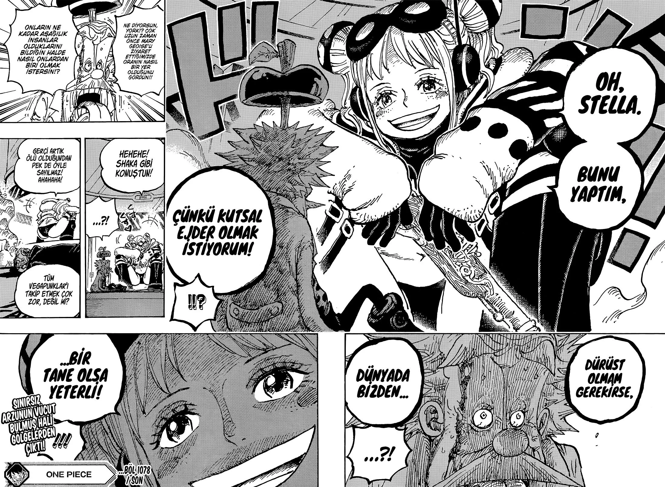 One Piece - Bölüm 1078 - Sayfa 14