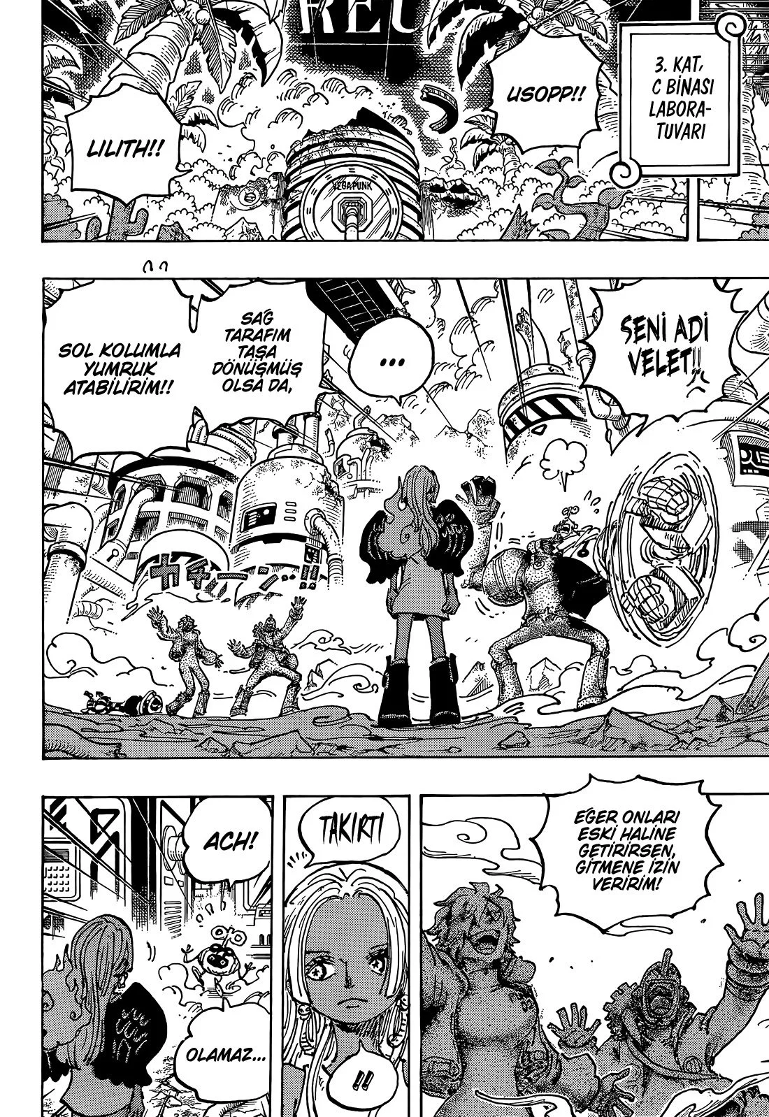 One Piece - Bölüm 1078 - Sayfa 4