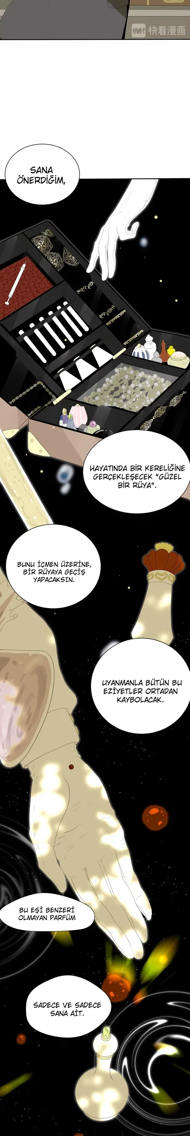 Tyrant's Tears - Bölüm 1 - Sayfa 31