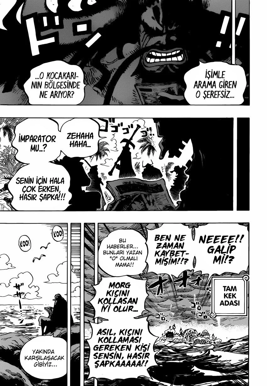 One Piece - Bölüm 903 - Sayfa 16