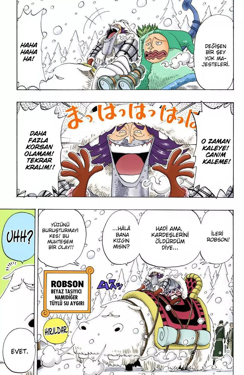 One Piece - Bölüm 135 - Sayfa 13