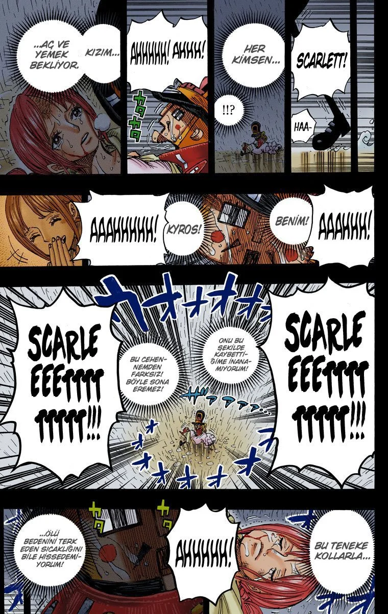 One Piece - Bölüm 742 - Sayfa 13