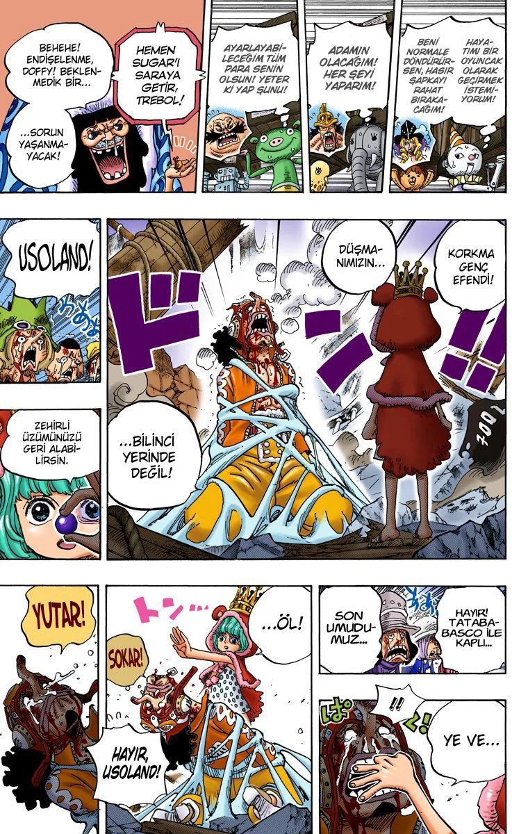One Piece - Bölüm 742 - Sayfa 17