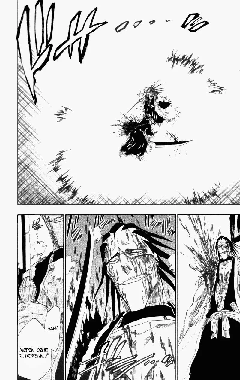 Bleach - Bölüm 113 - Sayfa 17