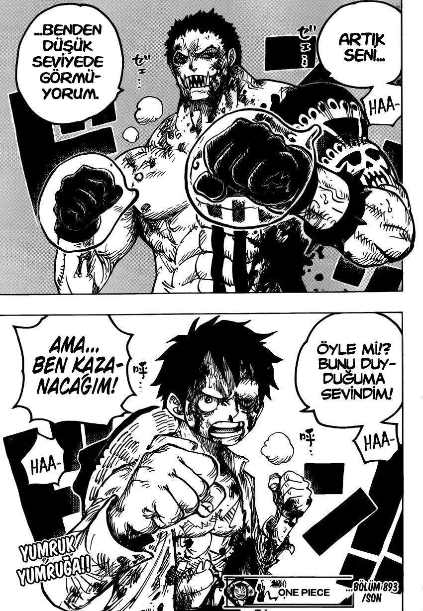 One Piece - Bölüm 893 - Sayfa 17