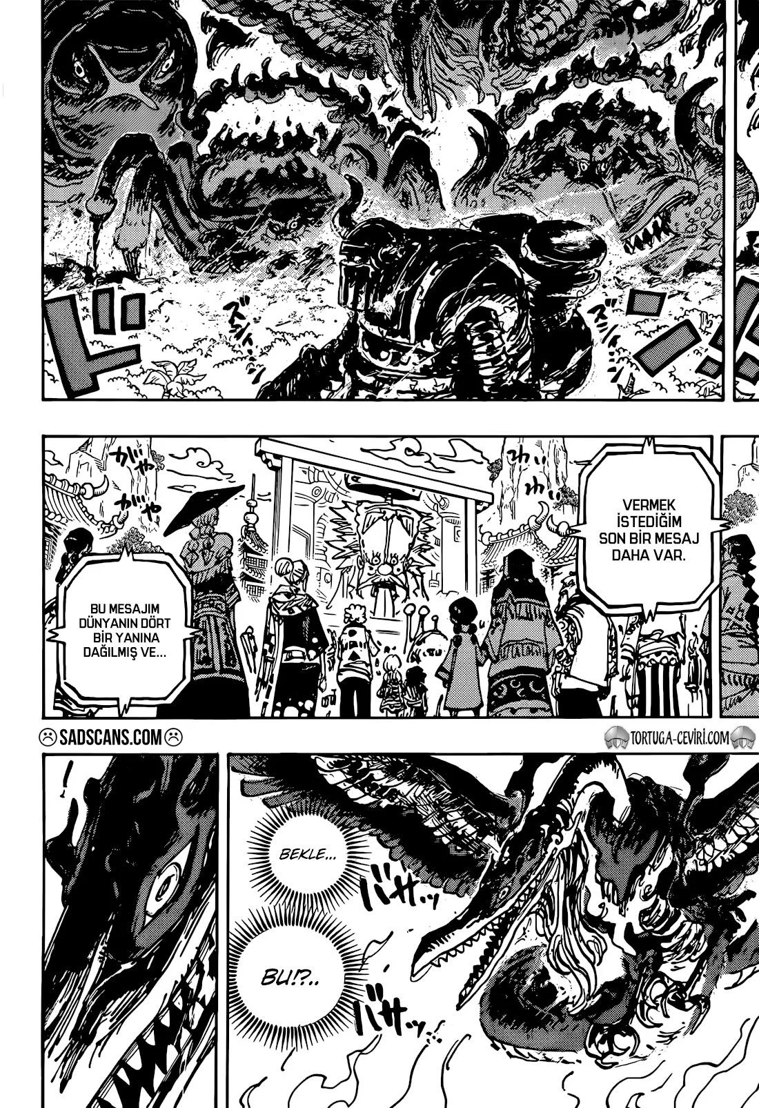 One Piece - Bölüm 1117 - Sayfa 13