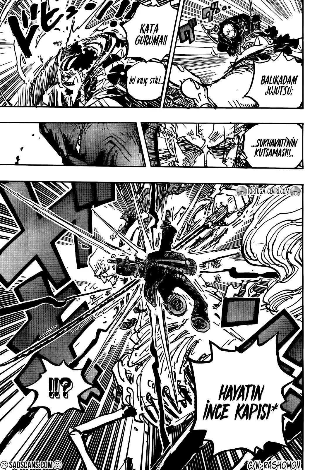 One Piece - Bölüm 1117 - Sayfa 8
