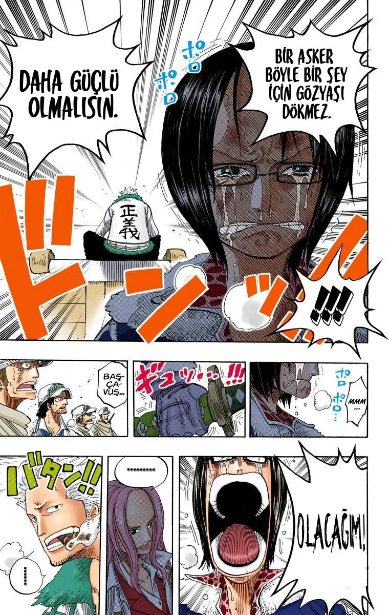 One Piece - Bölüm 212 - Sayfa 17