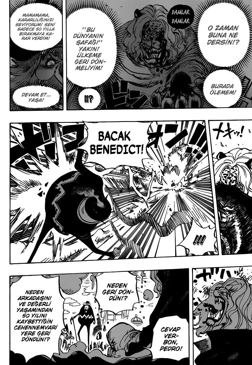 One Piece - Bölüm 850 - Sayfa 10