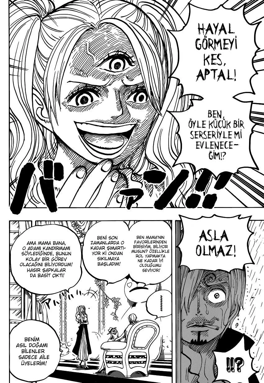 One Piece - Bölüm 850 - Sayfa 14