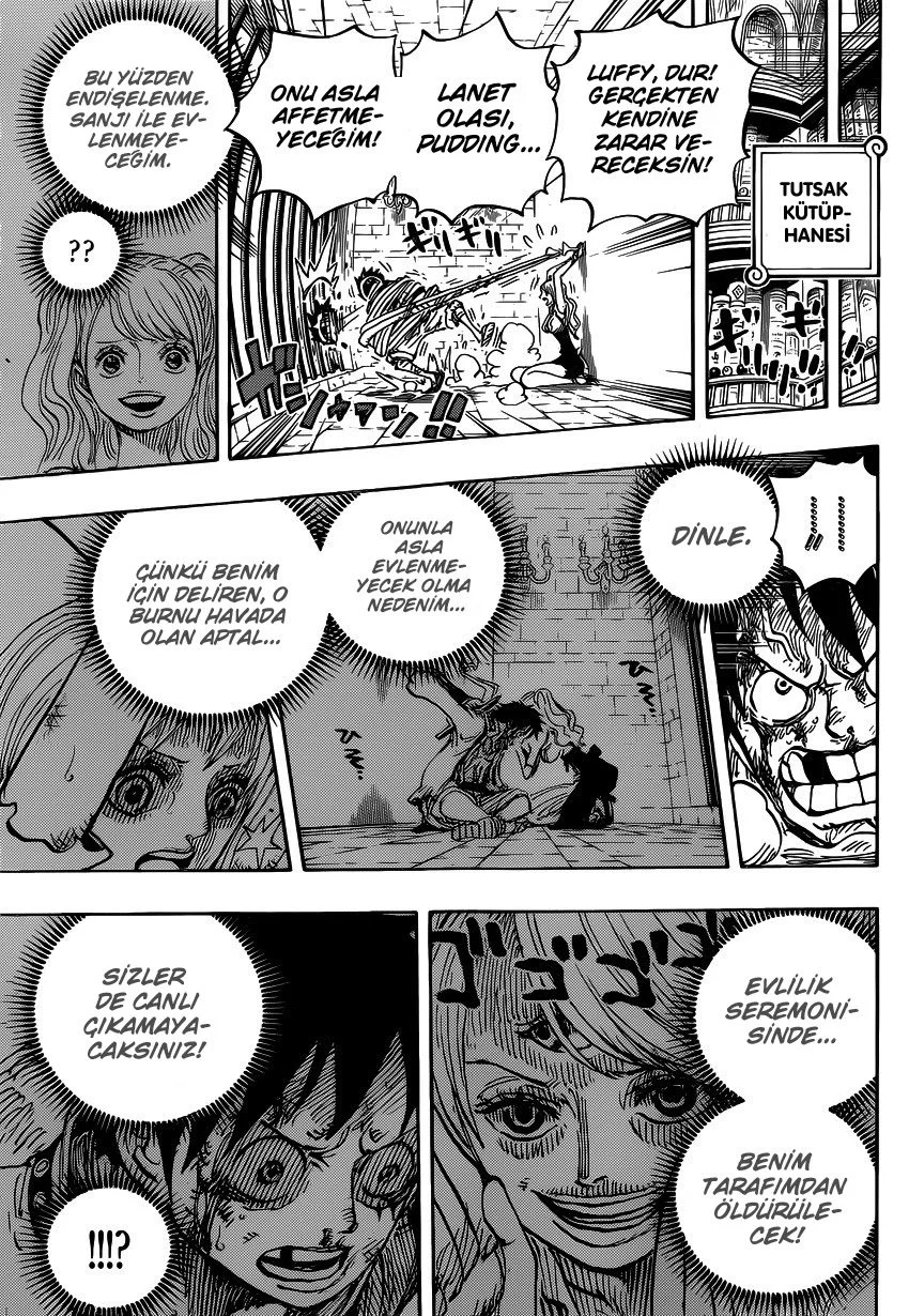 One Piece - Bölüm 850 - Sayfa 15