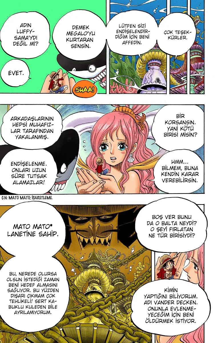 One Piece - Bölüm 613 - Sayfa 9