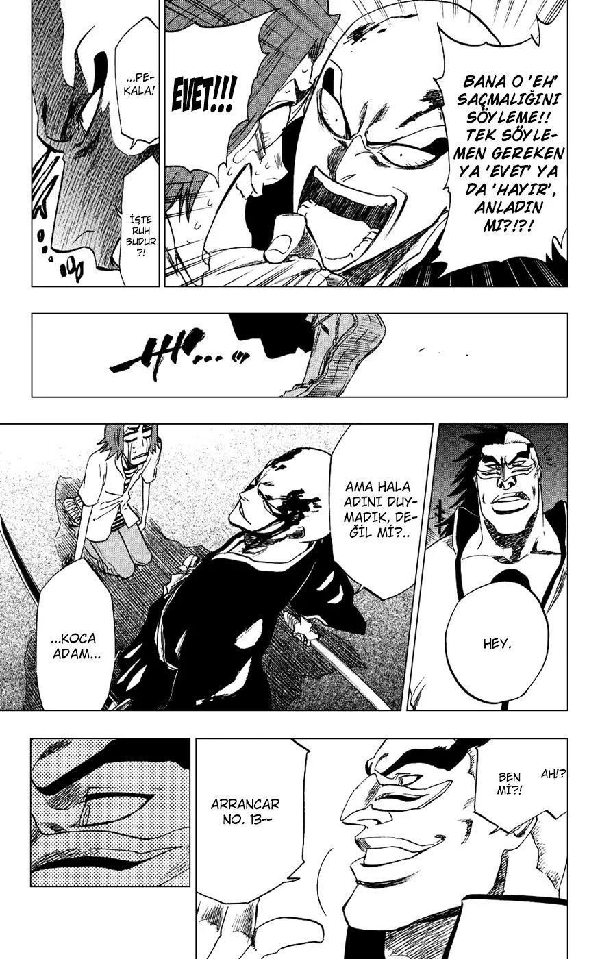 Bleach - Bölüm 202 - Sayfa 17