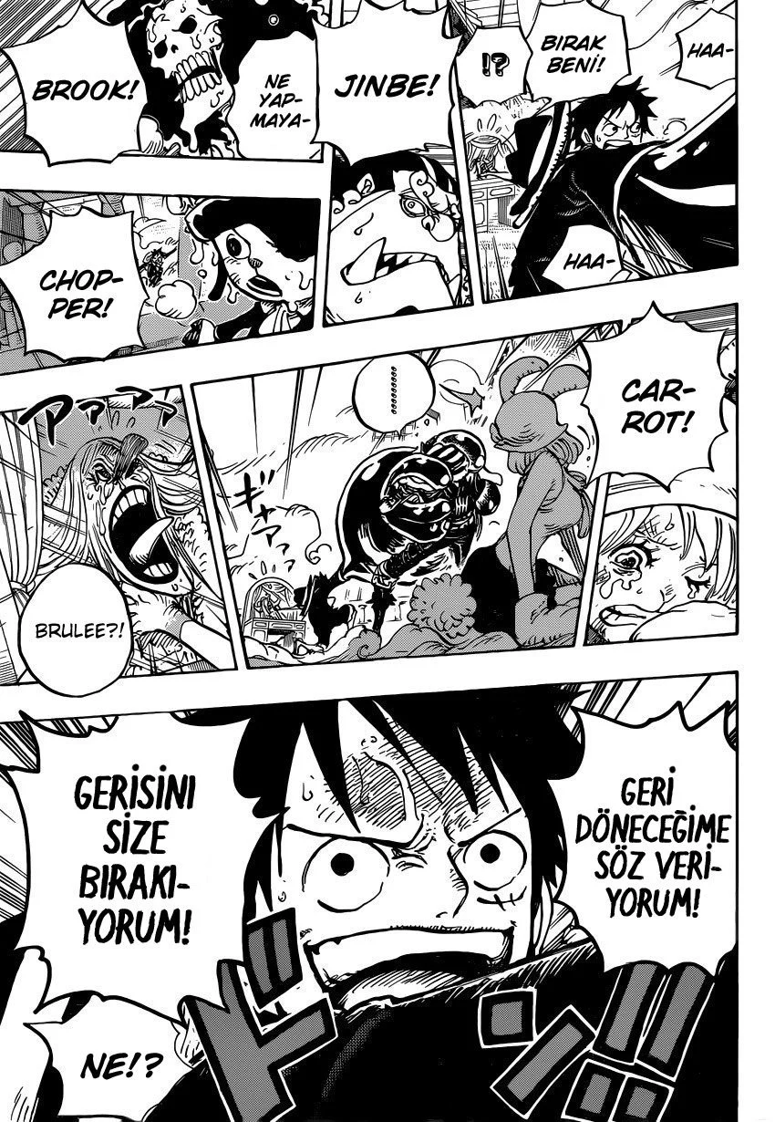 One Piece - Bölüm 878 - Sayfa 14