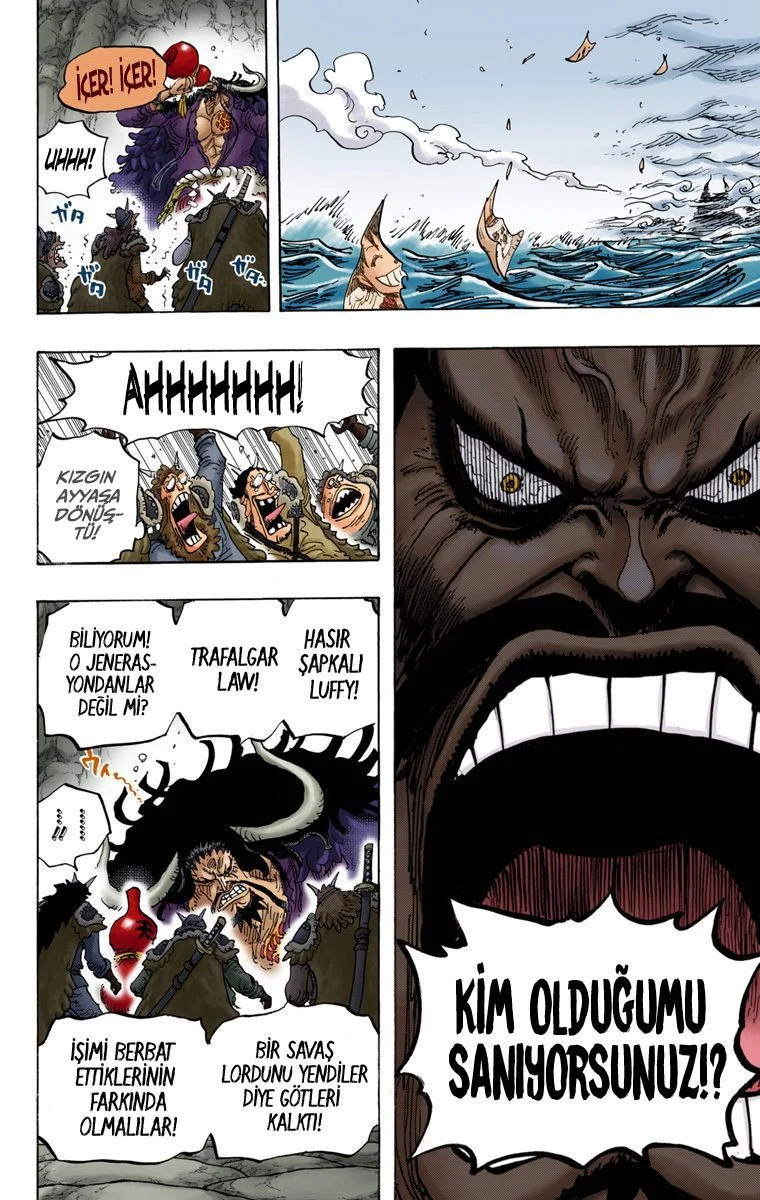 One Piece - Bölüm 824 - Sayfa 11