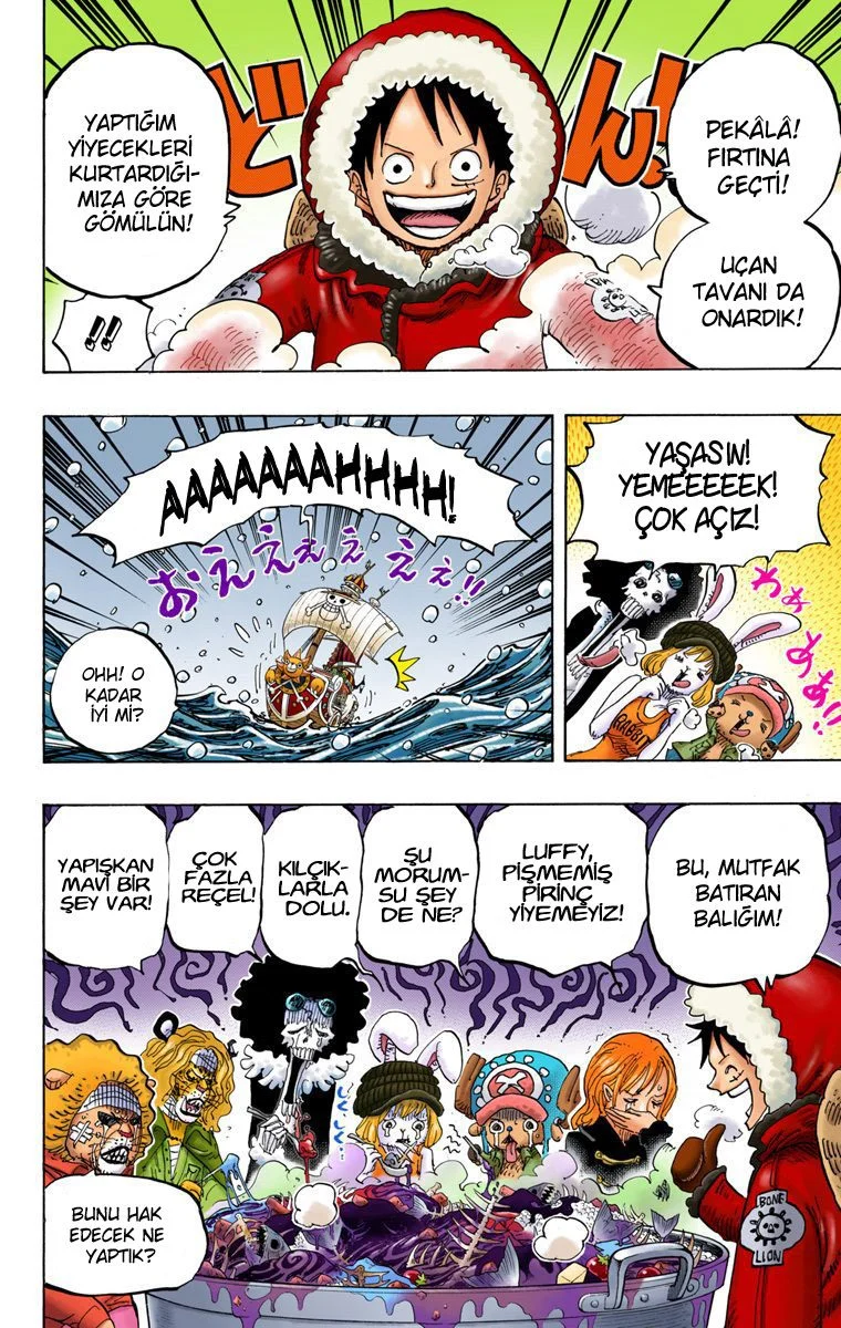 One Piece - Bölüm 824 - Sayfa 13
