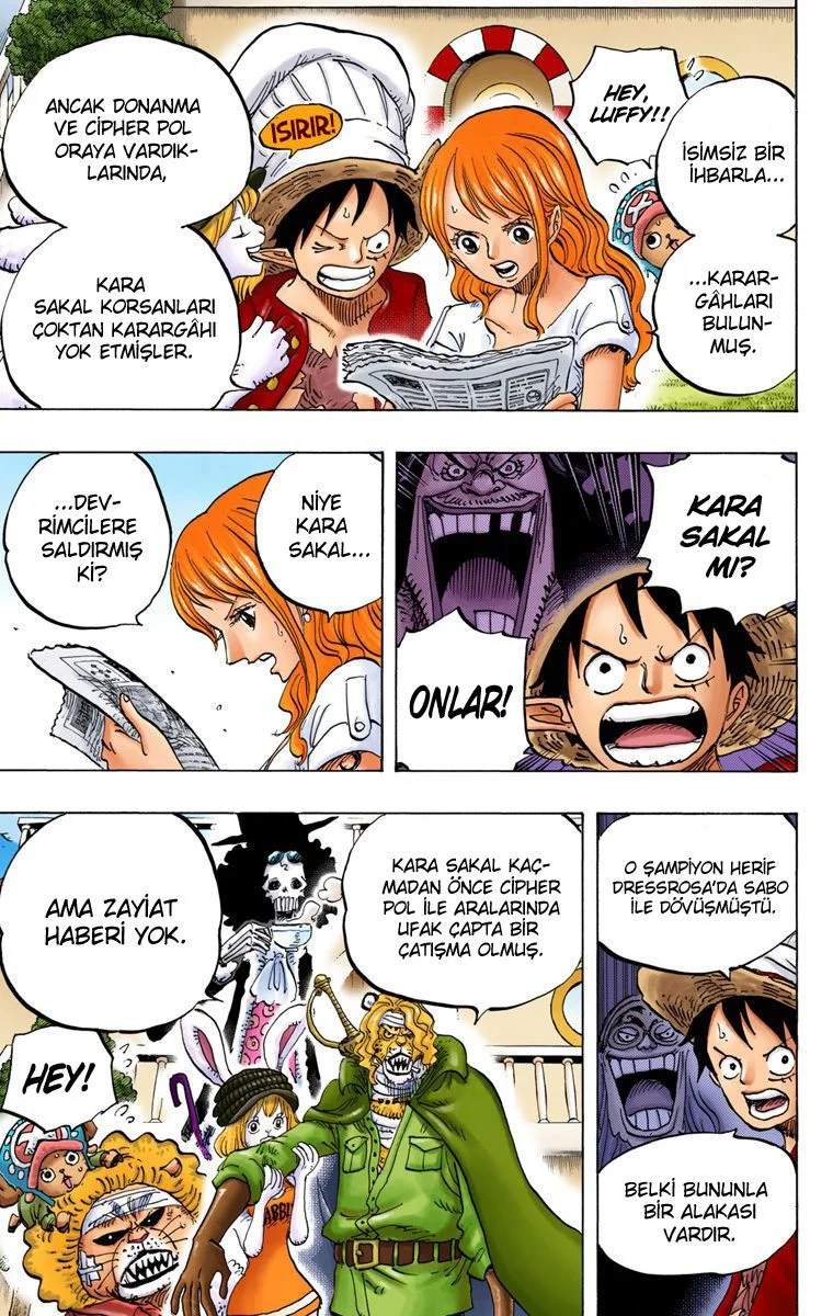 One Piece - Bölüm 824 - Sayfa 4