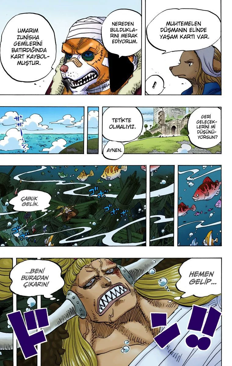One Piece - Bölüm 824 - Sayfa 8