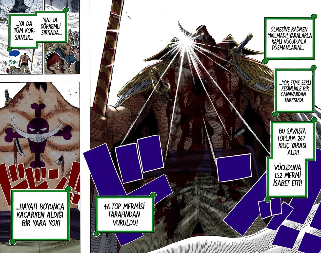 One Piece - Bölüm 576 - Sayfa 13
