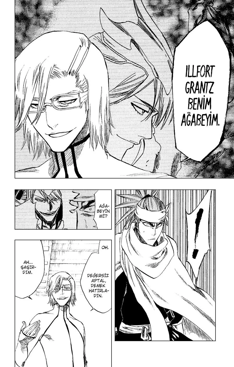 Bleach - Bölüm 265 - Sayfa 13