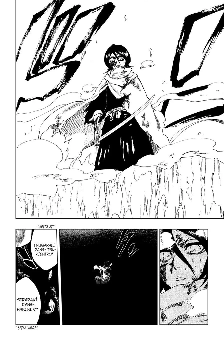 Bleach - Bölüm 265 - Sayfa 17