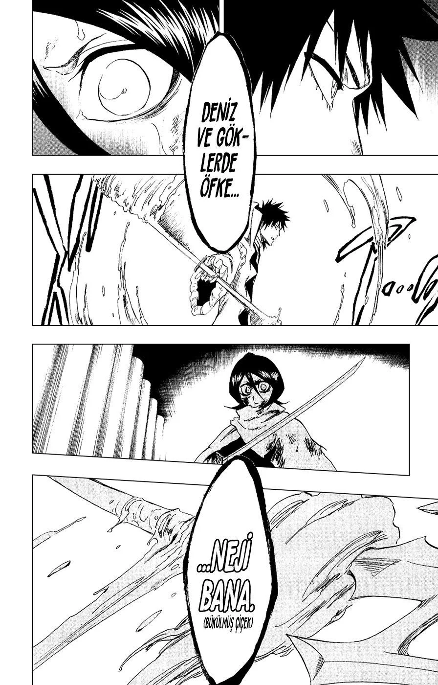 Bleach - Bölüm 265 - Sayfa 19
