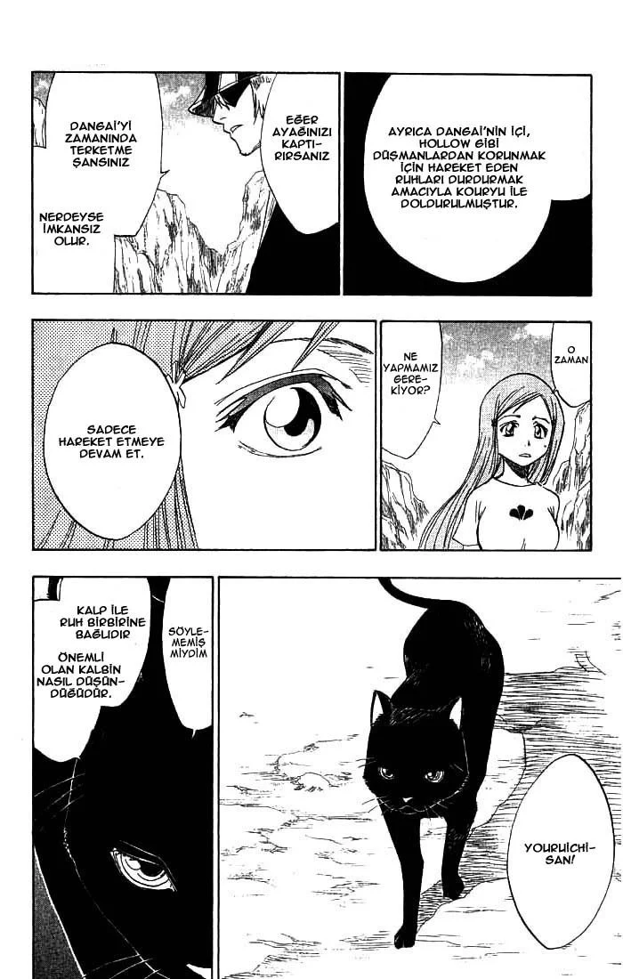 Bleach - Bölüm 70 - Sayfa 10