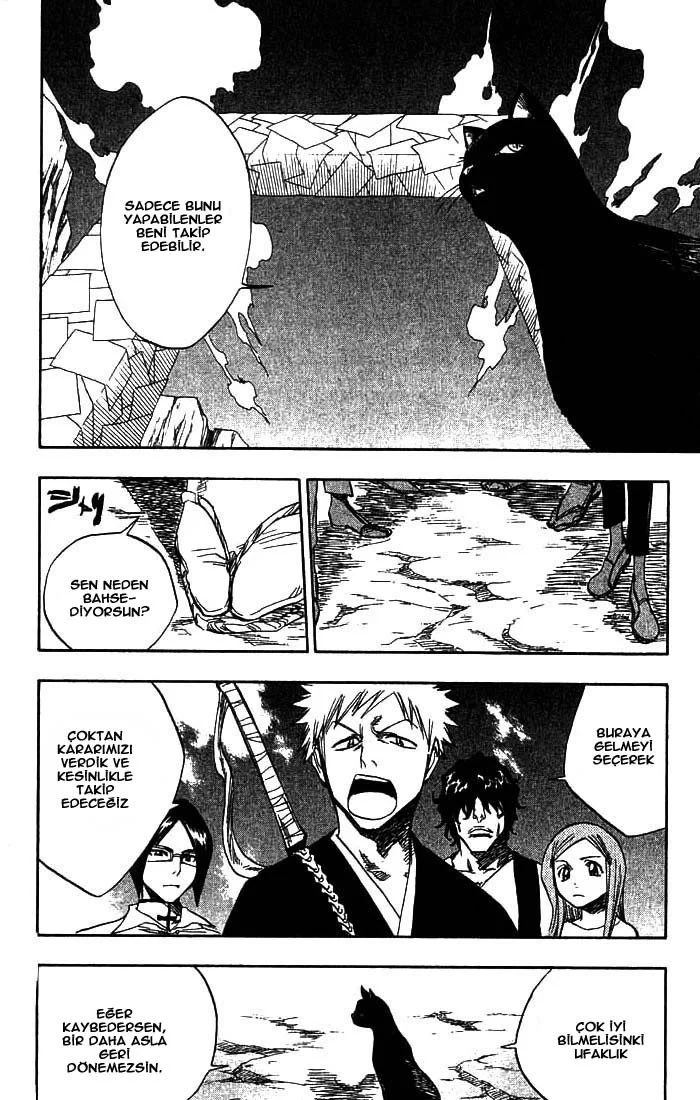 Bleach - Bölüm 70 - Sayfa 11