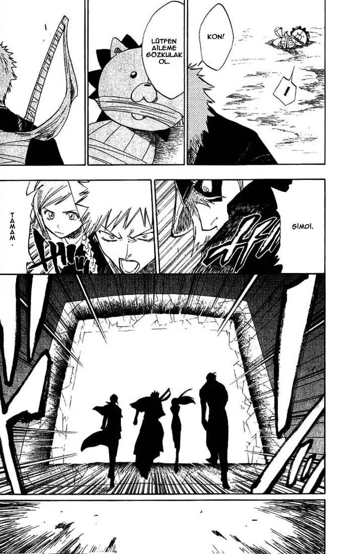 Bleach - Bölüm 70 - Sayfa 14