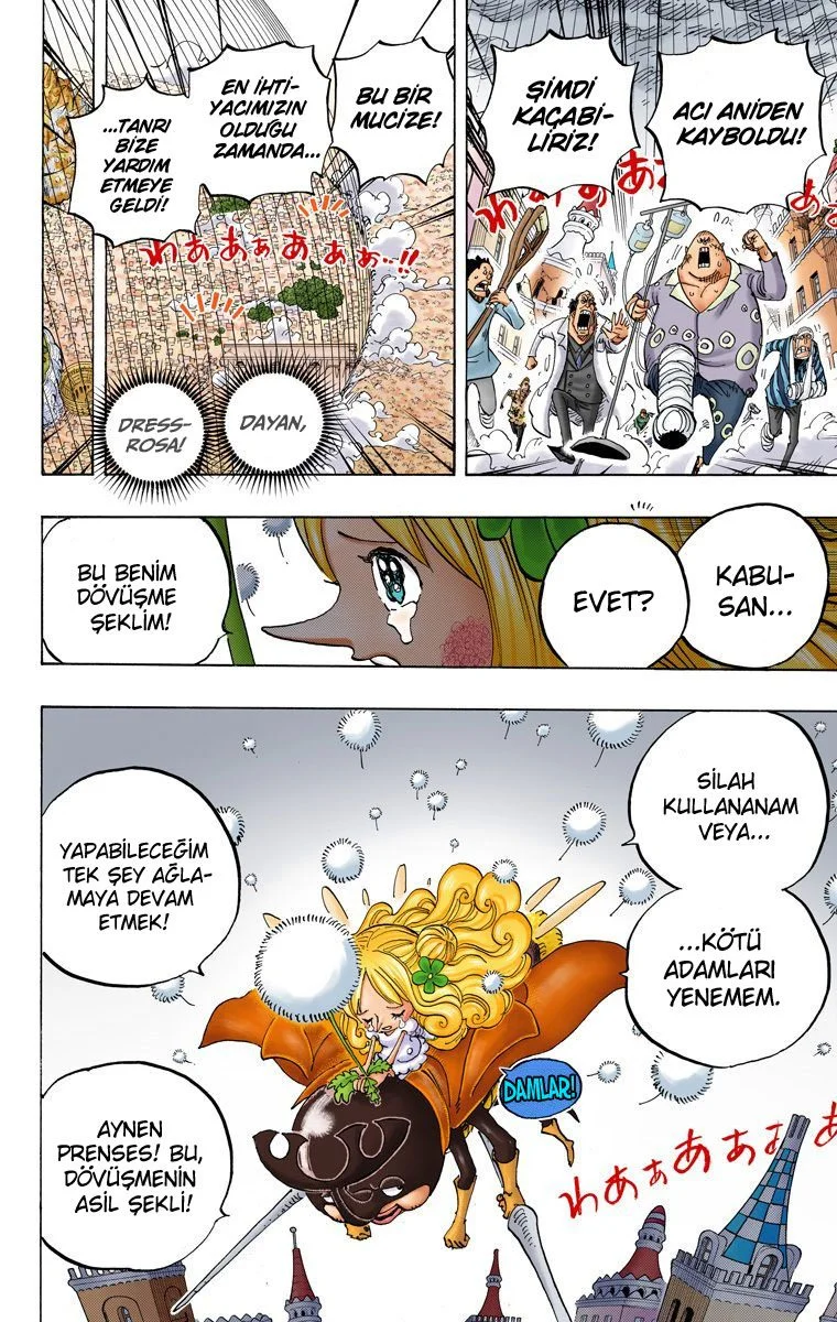 One Piece - Bölüm 788 - Sayfa 8