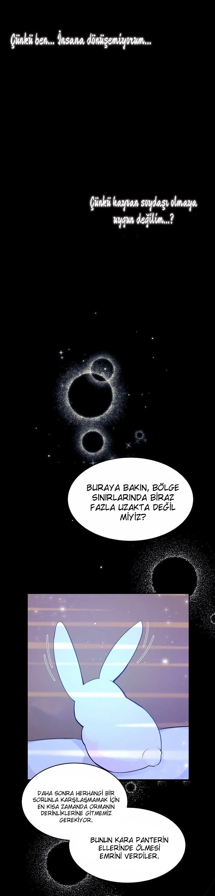 The Symbiotic Relationship Between the Rabbit and the Black Panther - Bölüm 1 - Sayfa 6
