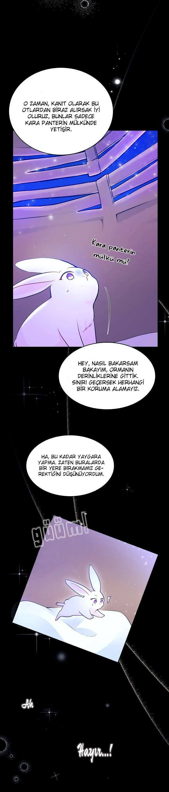 The Symbiotic Relationship Between the Rabbit and the Black Panther - Bölüm 1 - Sayfa 7