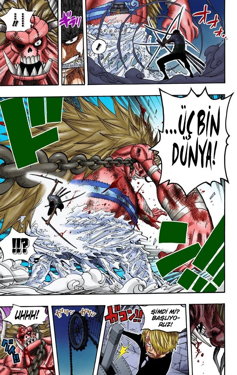 One Piece - Bölüm 480 - Sayfa 14