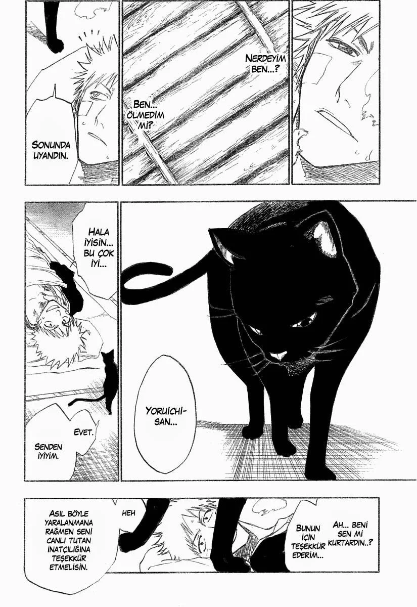 Bleach - Bölüm 116 - Sayfa 15