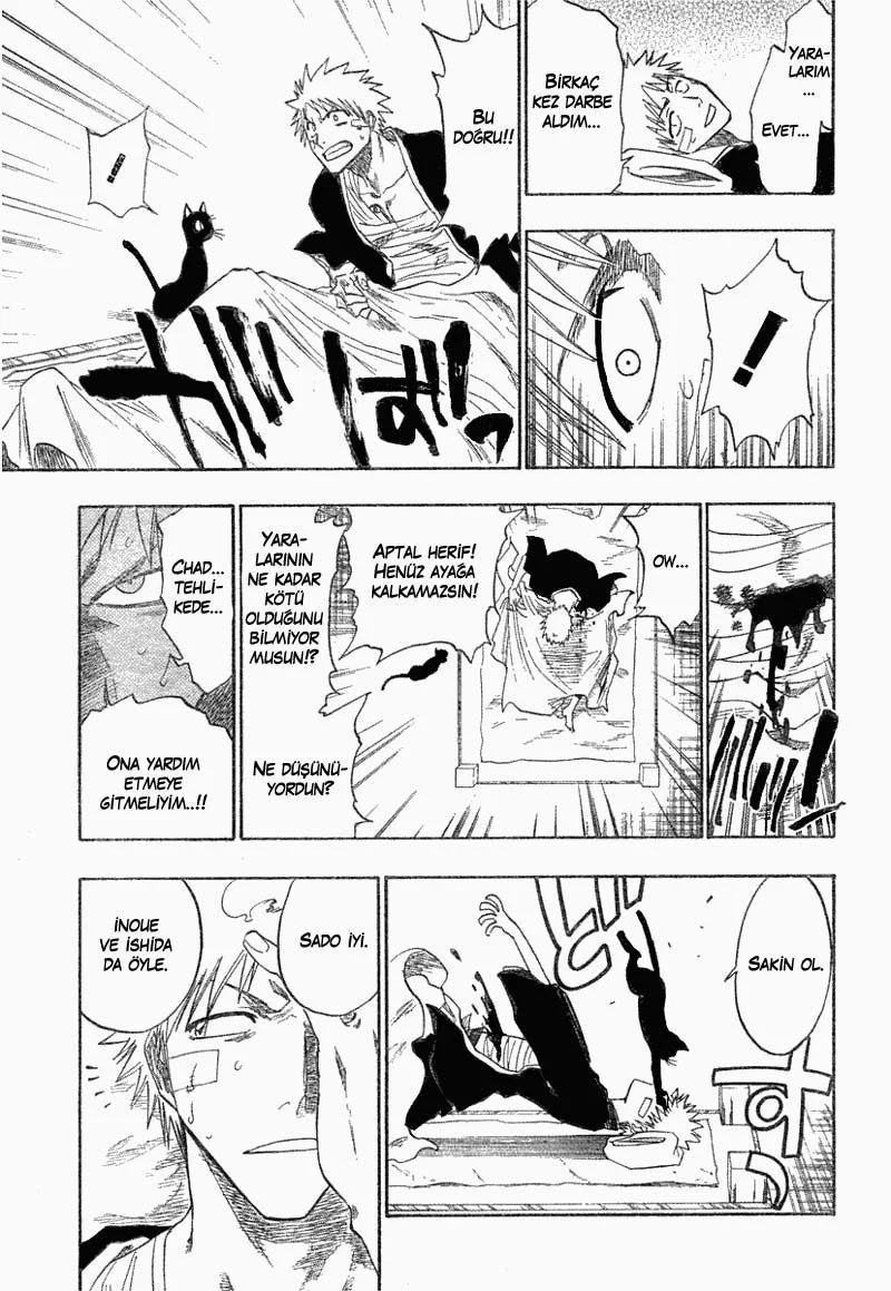 Bleach - Bölüm 116 - Sayfa 16