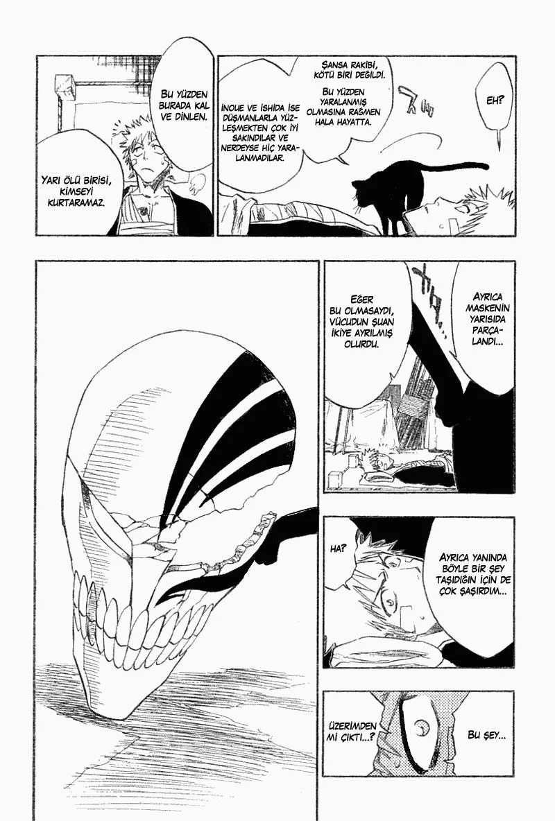 Bleach - Bölüm 116 - Sayfa 17