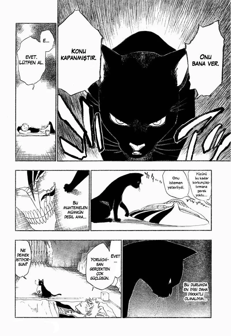 Bleach - Bölüm 116 - Sayfa 19