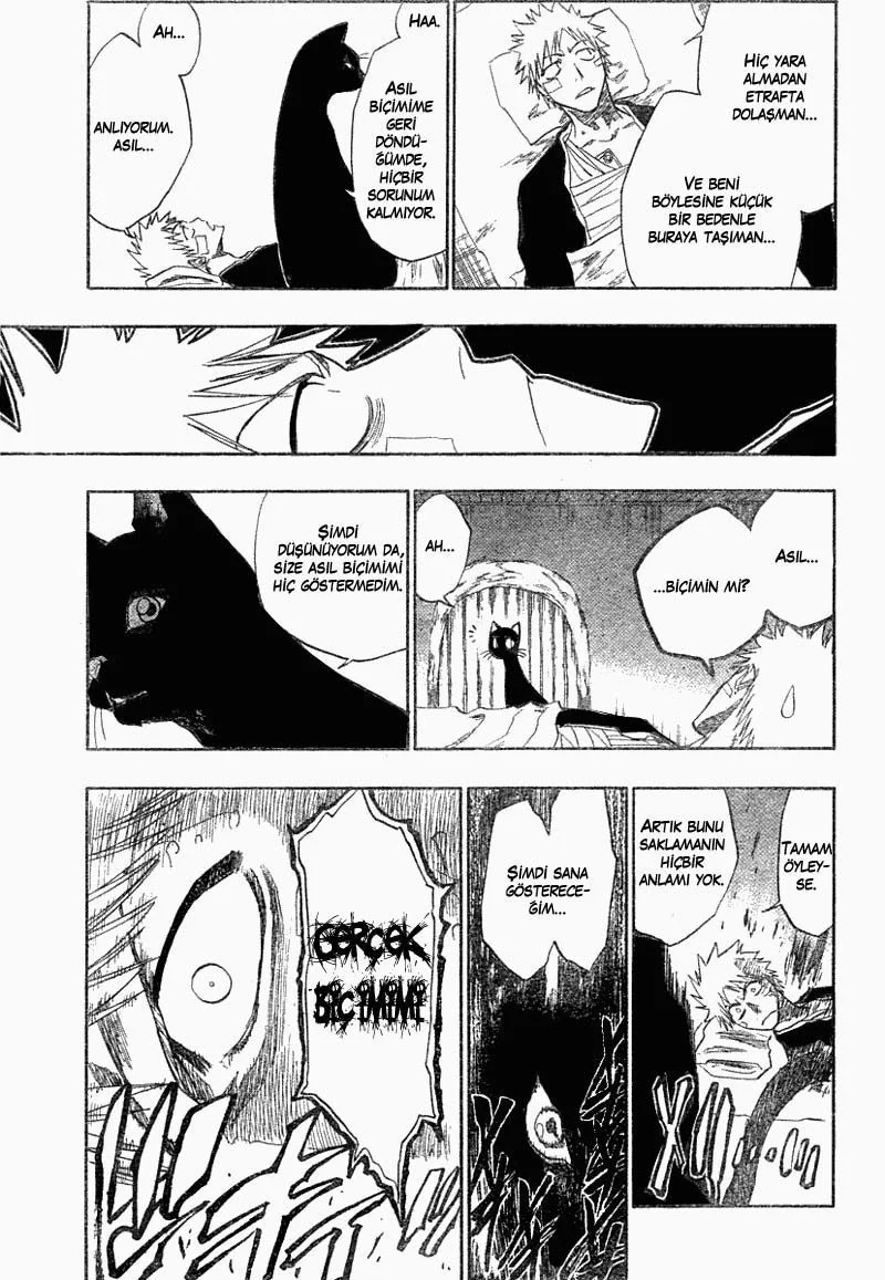 Bleach - Bölüm 116 - Sayfa 20